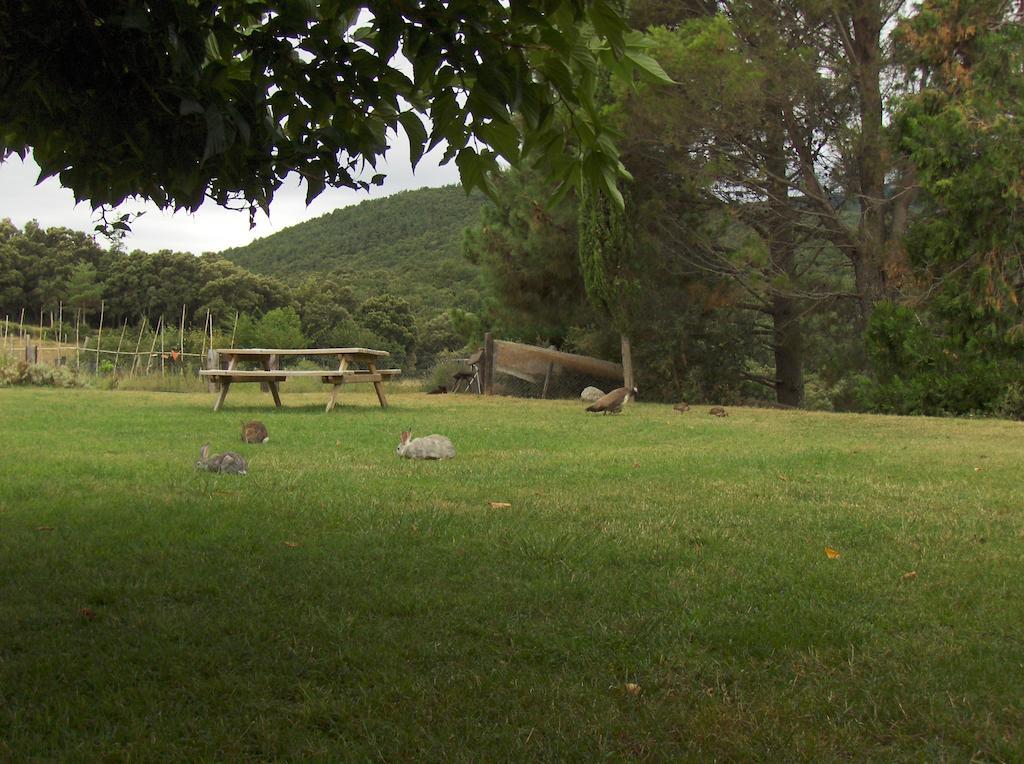 Mas Roquet Guest House Macanet De Cabrenys Exterior photo
